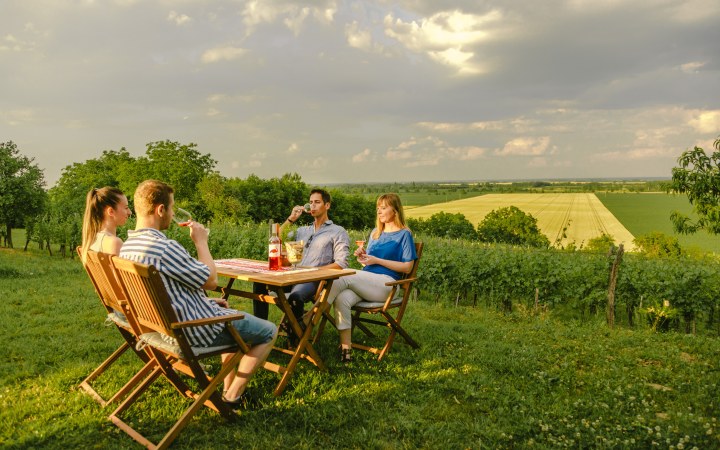 Garai wine tasting with wine dinner and ten wines