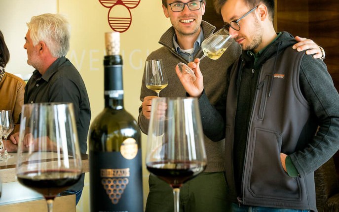 Nittnaus wine tasting – sweet wines from the most renowned vineyards of Lake Neusiedl