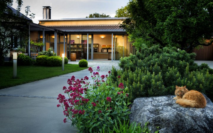 Nittnaus wine tasting – sweet wines from the most renowned vineyards of Lake Neusiedl