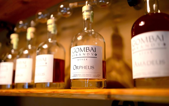 Gombai Brandy kóstoló az etyeki gasztro sétányon galéria kép