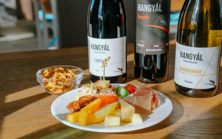 Hangyál wine tasting overlooking of the barrel aging room galéria kép