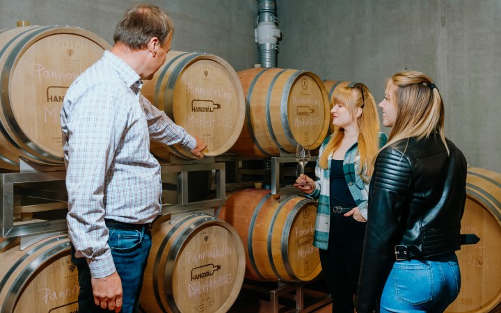 Hangyál wine tasting overlooking of the barrel aging room