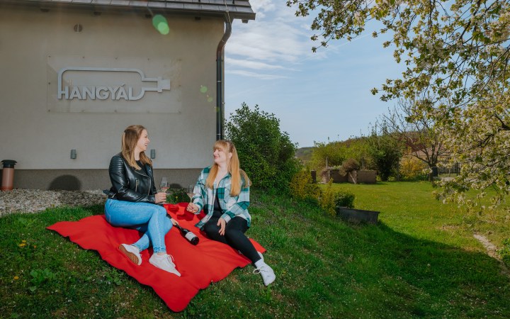 Hangyál wine tasting overlooking of the barrel aging room