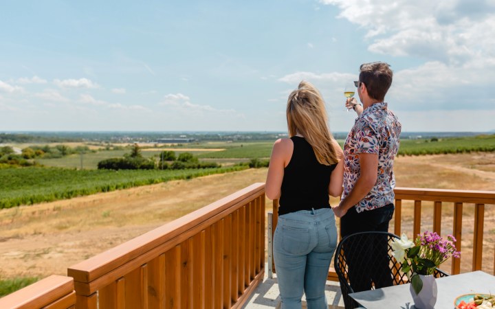 Harsányi borkóstoló pincebemutatóval és hidegtállal