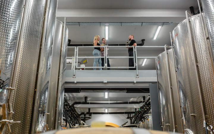 Harsányi borkóstoló pincebemutatóval és hidegtállal galéria kép