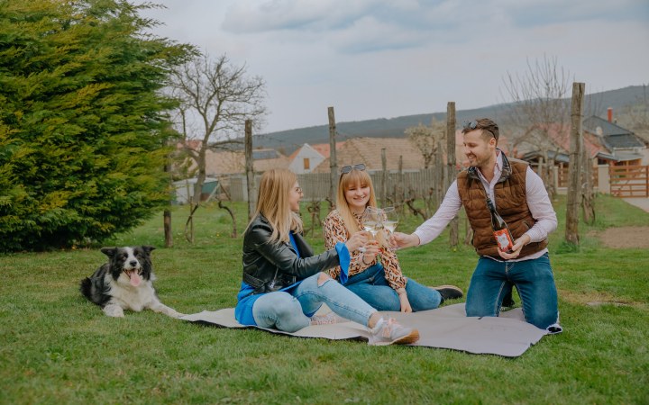 Hartmann borkóstoló teljesen a vendégek igényeire szabva