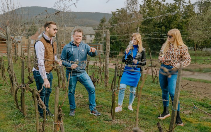 Hartmann borkóstoló teljesen a vendégek igényeire szabva