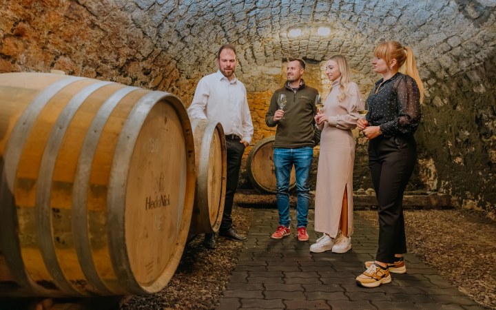 HedoNick wine tasting with a classic selection at the Pilisvörösvár winery galéria kép