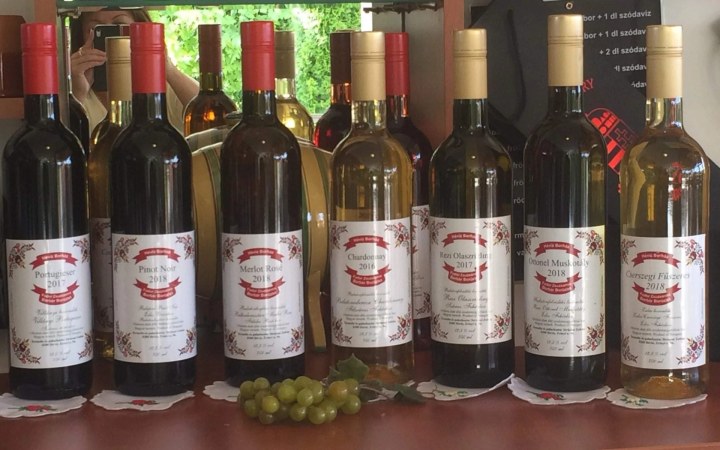 Hévíz Borpince wine tasting in a retro-style wine cellar