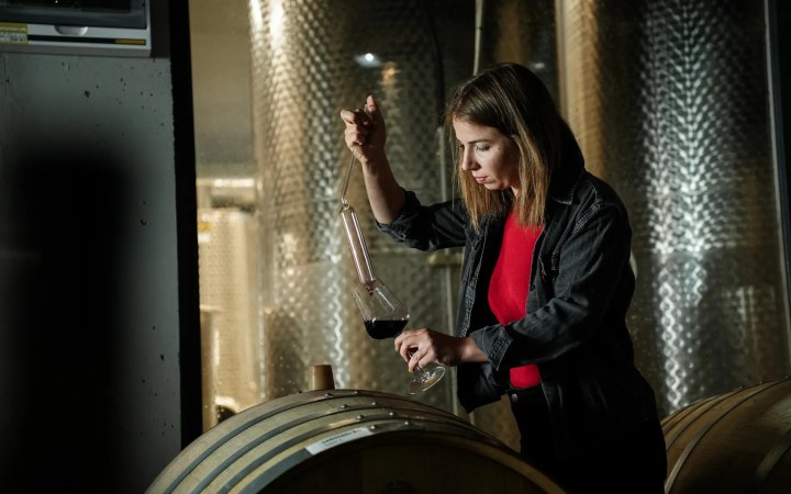 Hoffman's borkóstoló a tisztaságra, az egyszerűségre és a hely szellemére épülő borokkal galéria kép