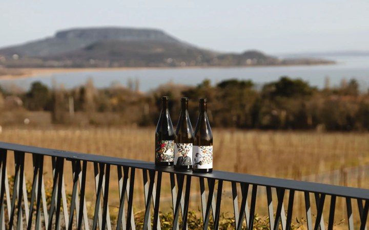 Hoffman's borkóstoló a tisztaságra, az egyszerűségre és a hely szellemére épülő borokkal galéria kép