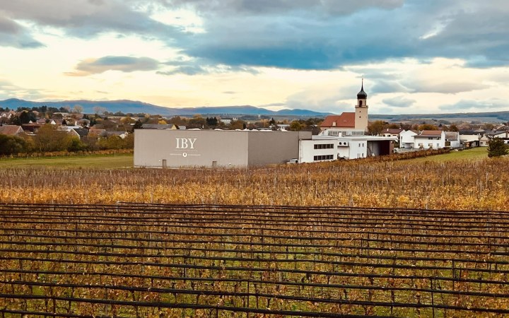 IBY wine tasting with an unrivaled selection of Blaufränkisch wines galéria kép