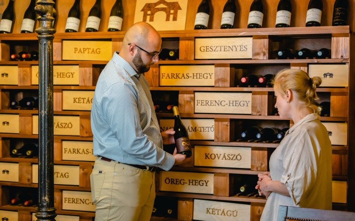Juhász Brothers wine tasting in the Kőlyuk cellar row in Eger galéria kép
