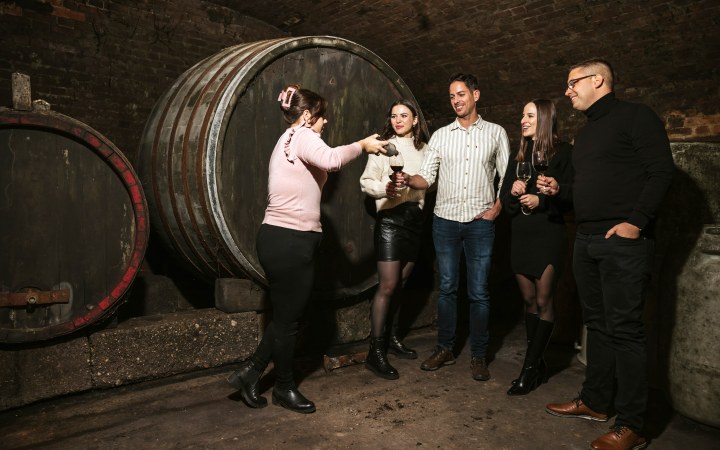 Katona wine tasting in the Budafok cellar galéria kép