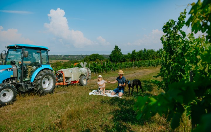 Kékajtó wine tasting on the organic Kőröshegy estate galéria kép
