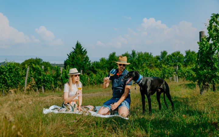 Kékajtó wine tasting on the organic Kőröshegy estate galéria kép