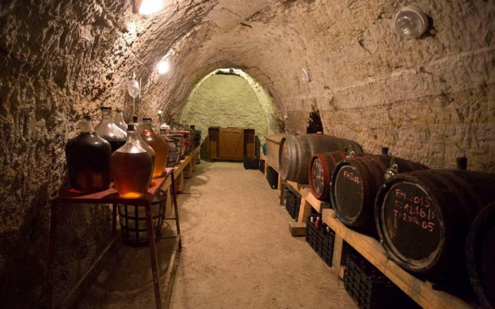Lingó wine tasting with artisanal wines made in amphoras galéria kép