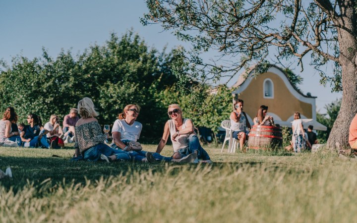 Killer borkóstoló a Szent György-hegyi bio birtokon