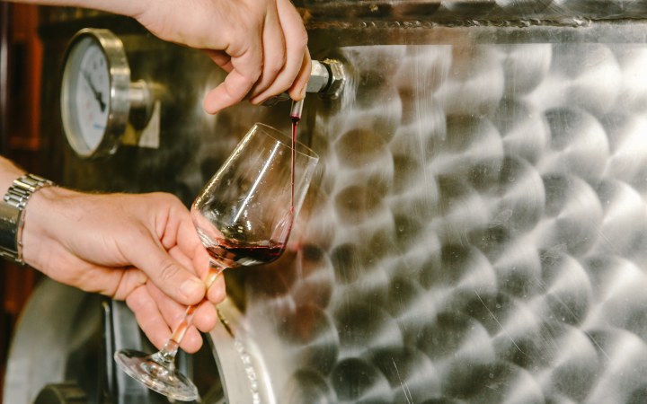 KissAttila wine tasting with everyone's favorites galéria kép