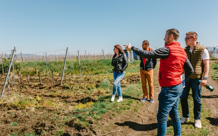 KissAttila wine tasting with a young winemaker
