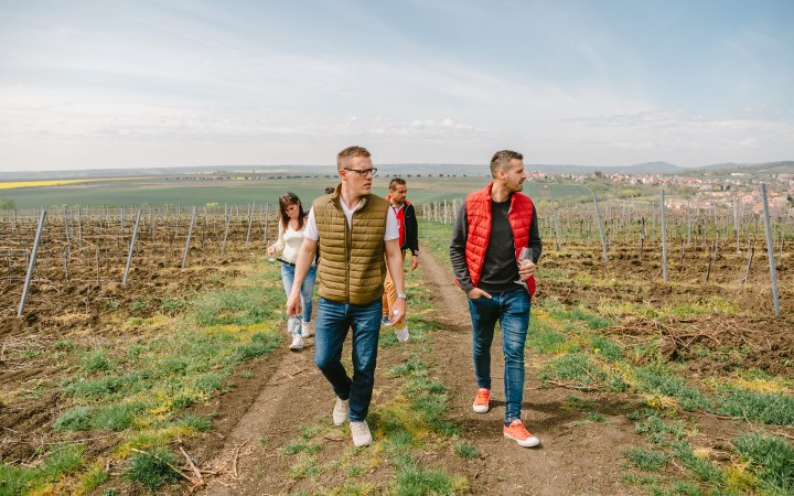 KissAttila borkóstoló egy fiatal borásznál galéria kép