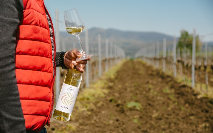 KissAttila wine tasting with a young winemaker