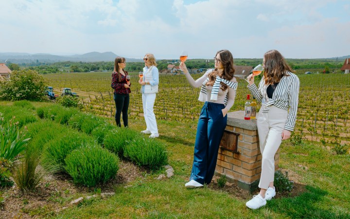 Koczor wine tasting at the family winery with centuries of tradition