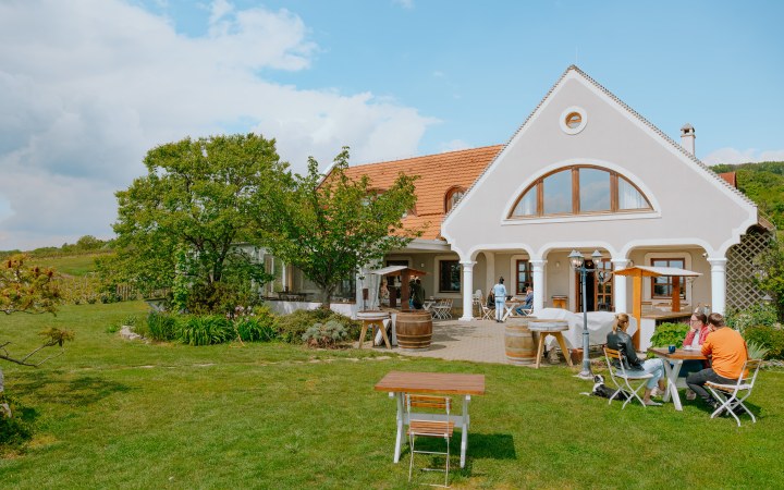 Koczor wine tasting at the family winery with centuries of tradition galéria kép