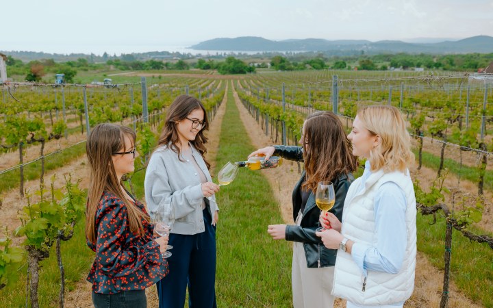 Koczor wine tasting at the family winery with centuries of tradition