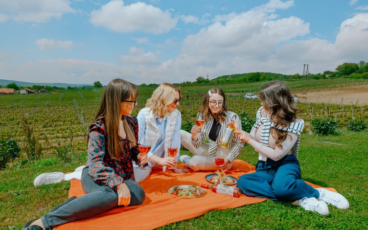 Koczor wine tasting at the family winery with centuries of tradition galéria kép