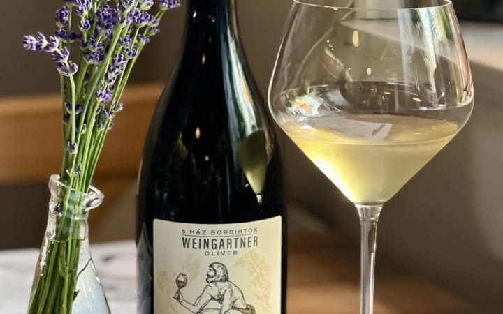 KönyvBár borvacsora világhírű könyvek ihlette fine dining ételkölteményekkel és naturális borokkal galéria kép