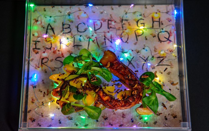 KönyvBár borvacsora világhírű könyvek ihlette fine dining ételkölteményekkel és naturális borokkal galéria kép