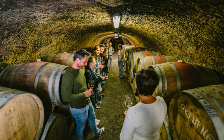 Kovács Nimród wine tasting on the historic cellar row galéria kép