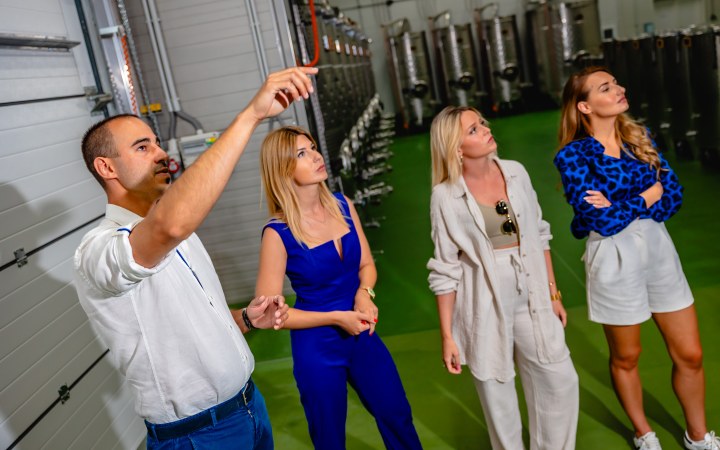 Csernus wine tasting with basic wine selection on the Ipolynyék vineyard hill