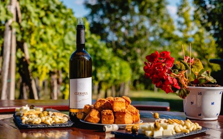 Csernus wine tasting with basic wine selection on the Ipolynyék vineyard hill