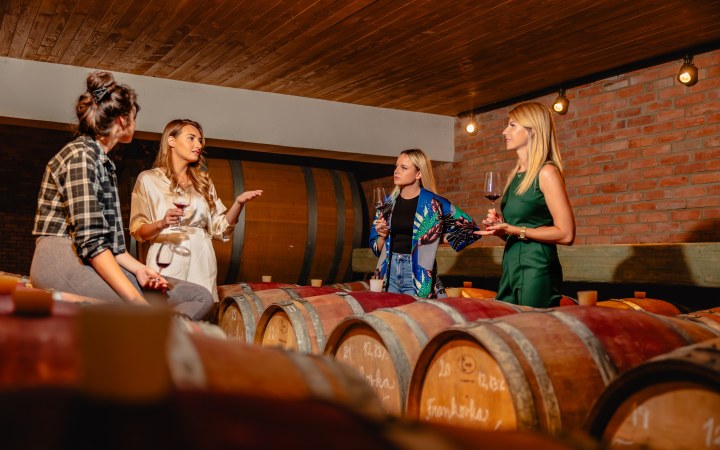 MOVINO borkóstoló 5 tételes borsorral és tartálymintával Nagykürtös határában galéria kép