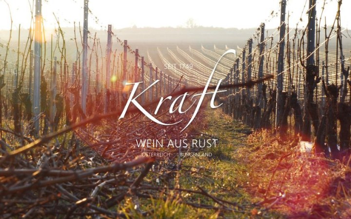 Kraft wine tasting with handcrafted wines in Rust galéria kép