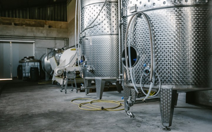 Laczkó wine tasting in a cellar from the time of Matthias Corvinus