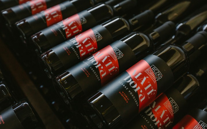 Laczkó wine tasting in a cellar from the time of Matthias Corvinus