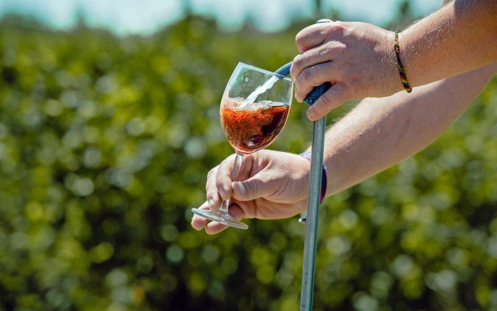 Lajos-Király wine tasting from currant wines at the new wave winery galéria kép