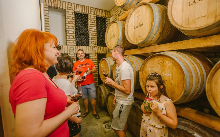 Lantos wine tasting in the family showcase cellar galéria kép