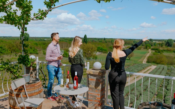 Lázók Birtok borkóstoló Ürgevérrel és levendulás látogatással galéria kép