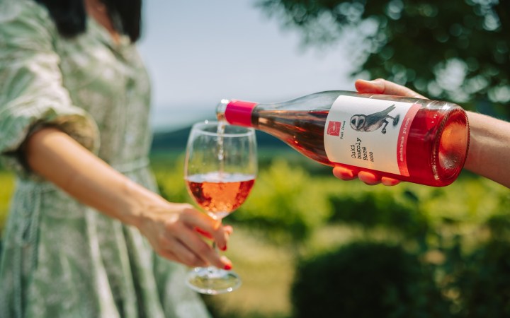 Madaras wine tasting with artisan cold plate and natural wines