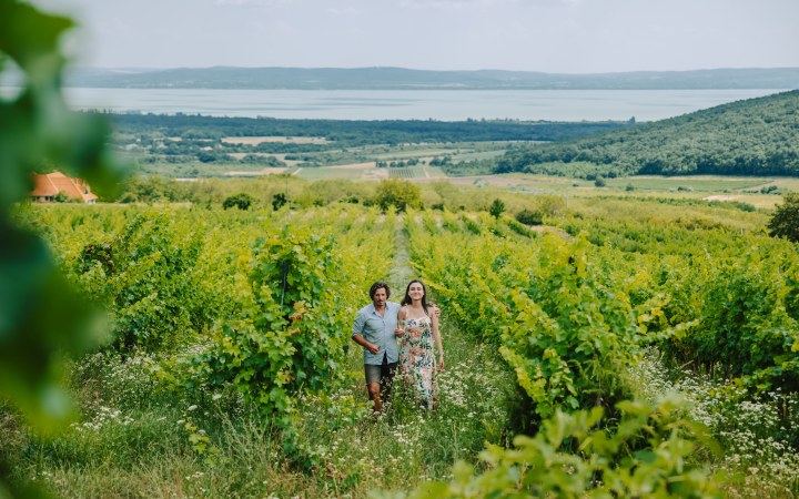 Madaras wine tasting with artisan cold plate and natural wines