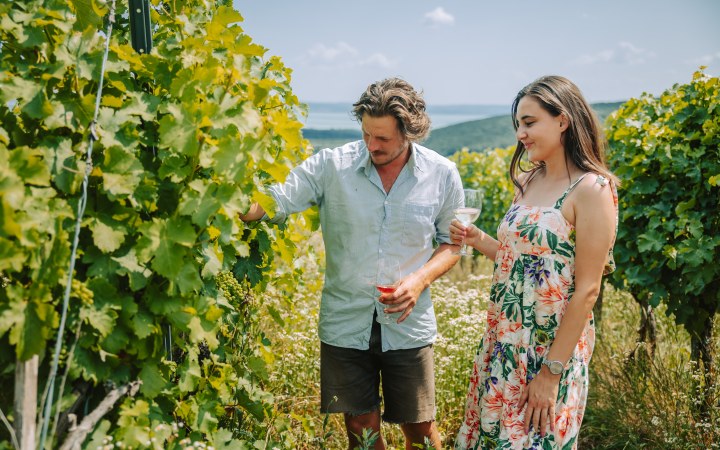 Madaras wine tasting with artisan cold plate and natural wines