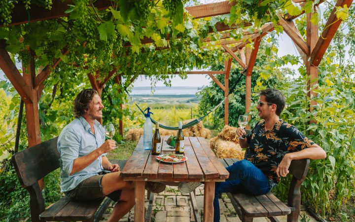 Madaras wine tasting with artisan cold plate and natural wines