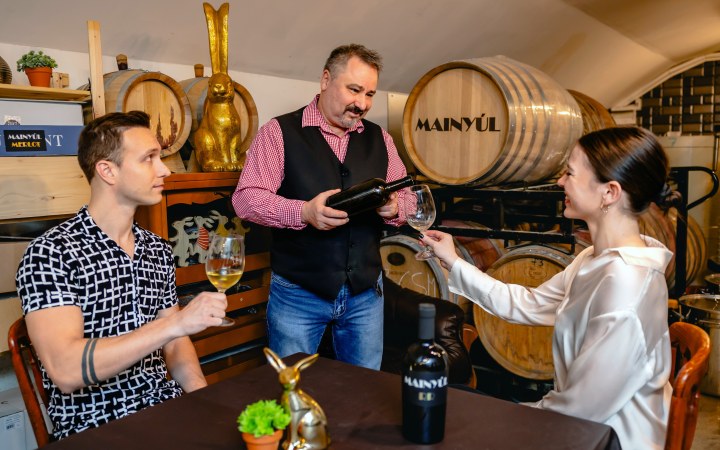 MAINYÚL wine tasting in the only garage winery in downtown Budapest galéria kép