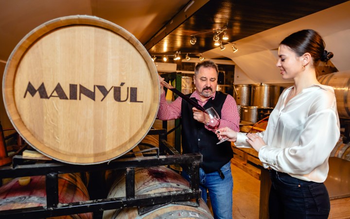 MAINYÚL wine tasting in the only garage winery in downtown Budapest galéria kép