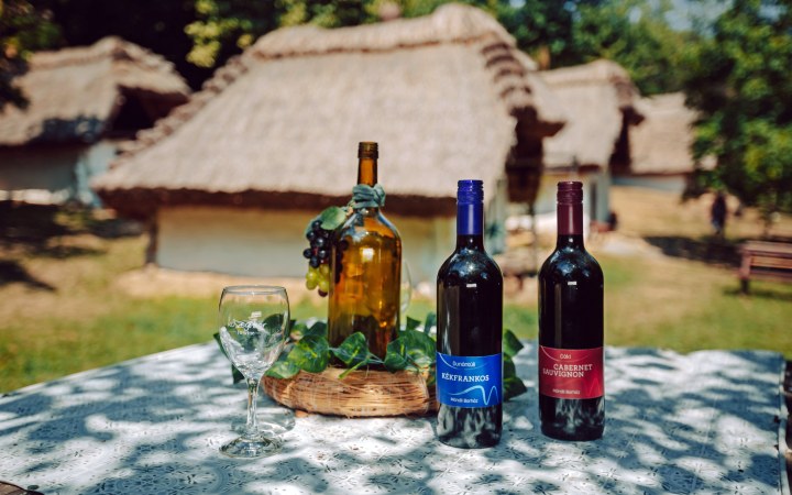 Mándli wine tasting on the historic Cák wine cellars row galéria kép