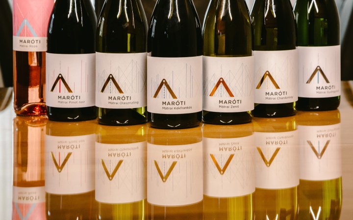 Maróti wine tasting with wines from multiple vintages galéria kép